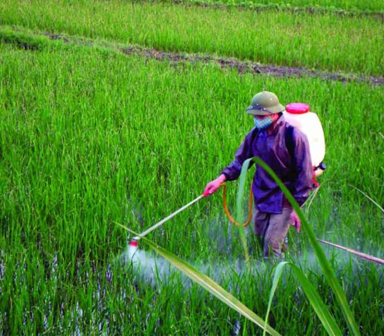 dung-thuoc-diet-co-luu-dan