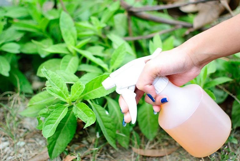 Mua thuốc trừ sâu sinh học ở đâu