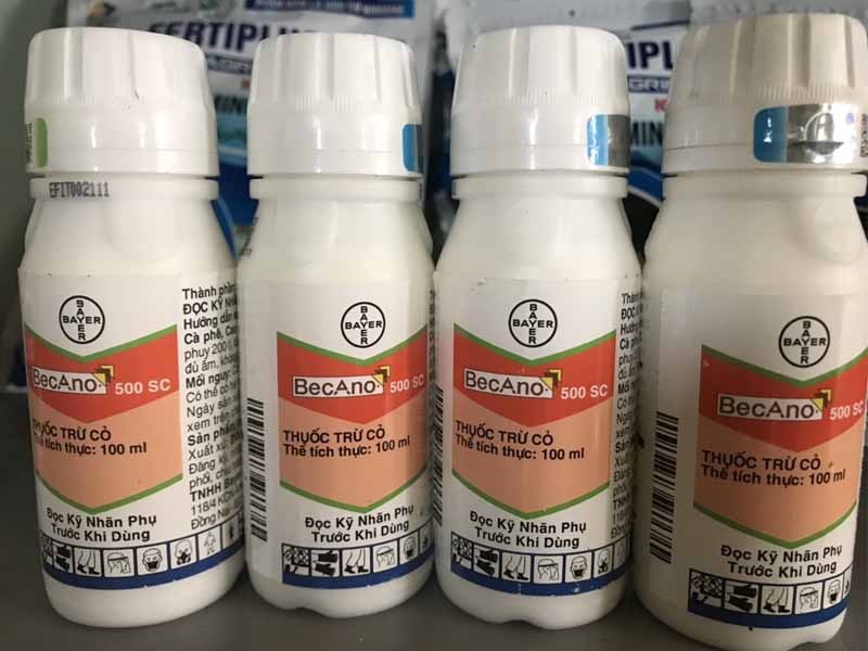 thuoc-diet-co-Becano-500SC
