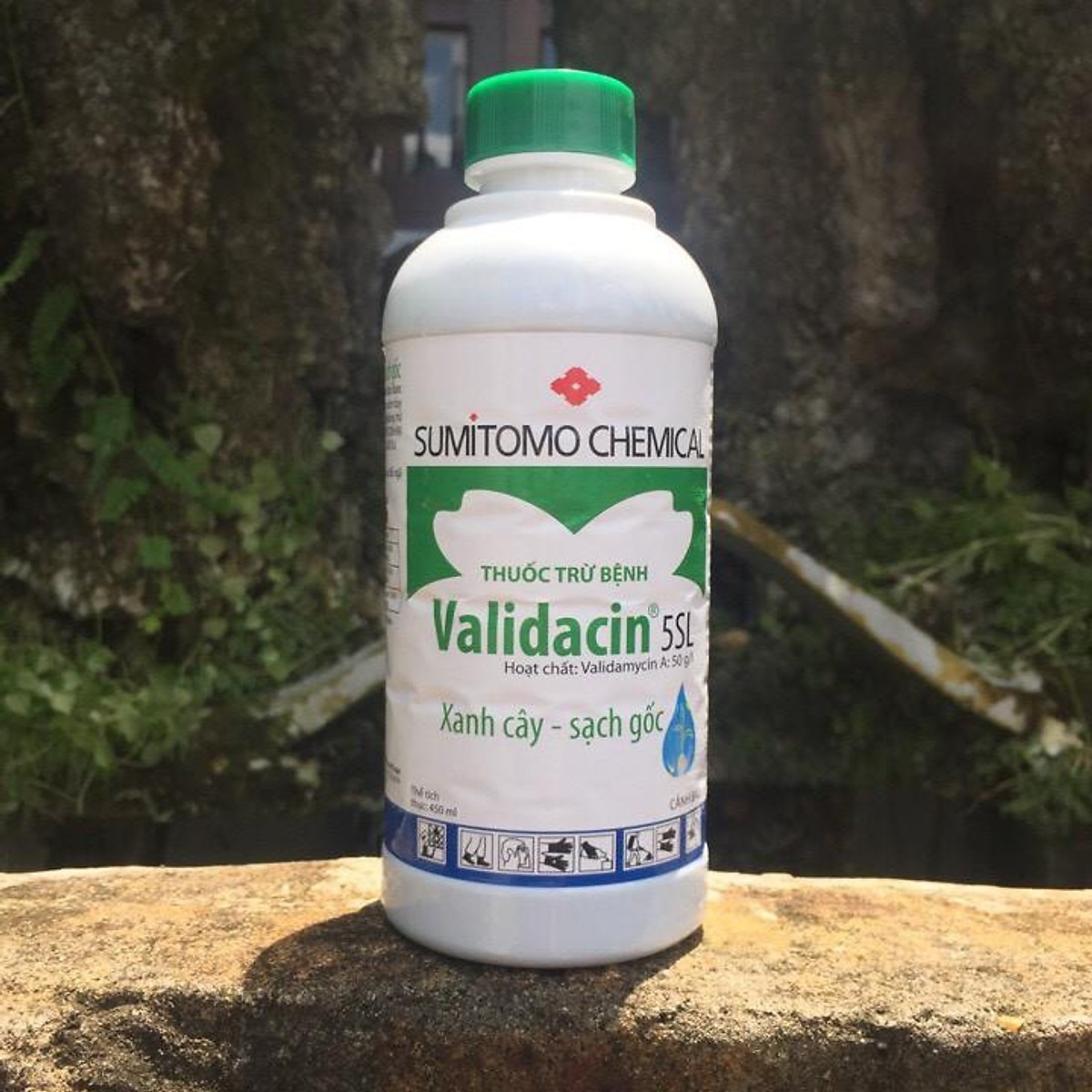 Hoạt chất Validamycin là thành phần chính trong nhiều loại thuốc bảo vệ thực vật